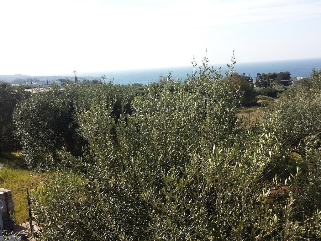 Villa Minteco Patù Εξωτερικό φωτογραφία