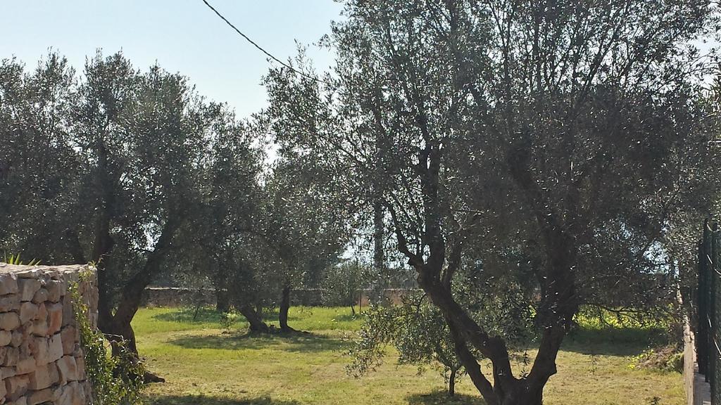 Villa Minteco Patù Εξωτερικό φωτογραφία