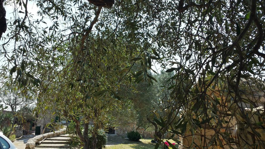Villa Minteco Patù Εξωτερικό φωτογραφία