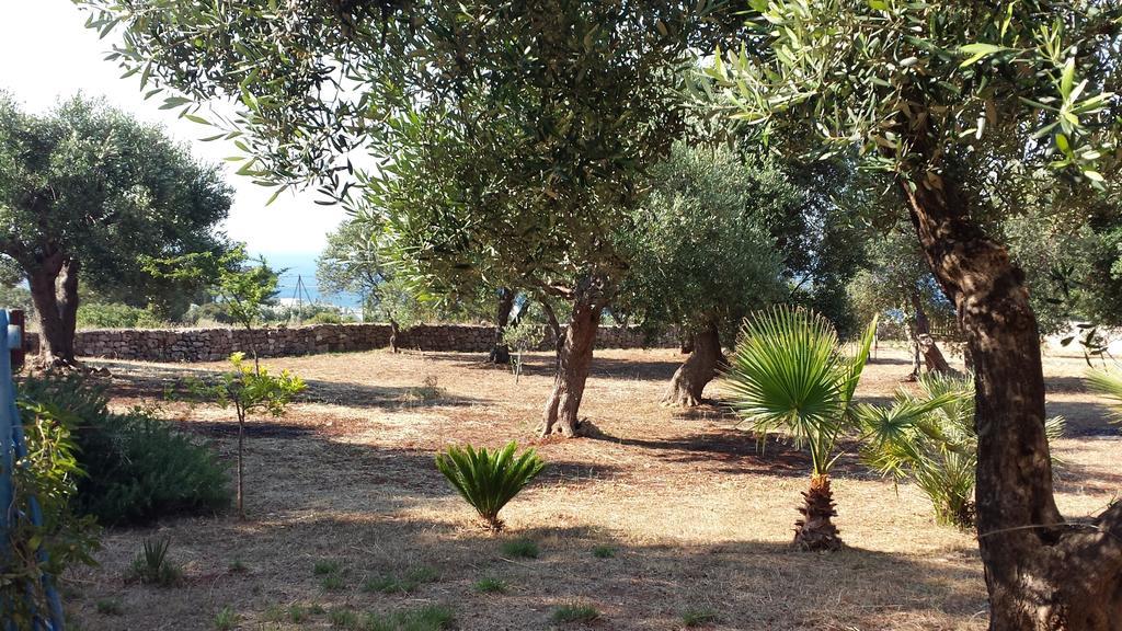 Villa Minteco Patù Εξωτερικό φωτογραφία