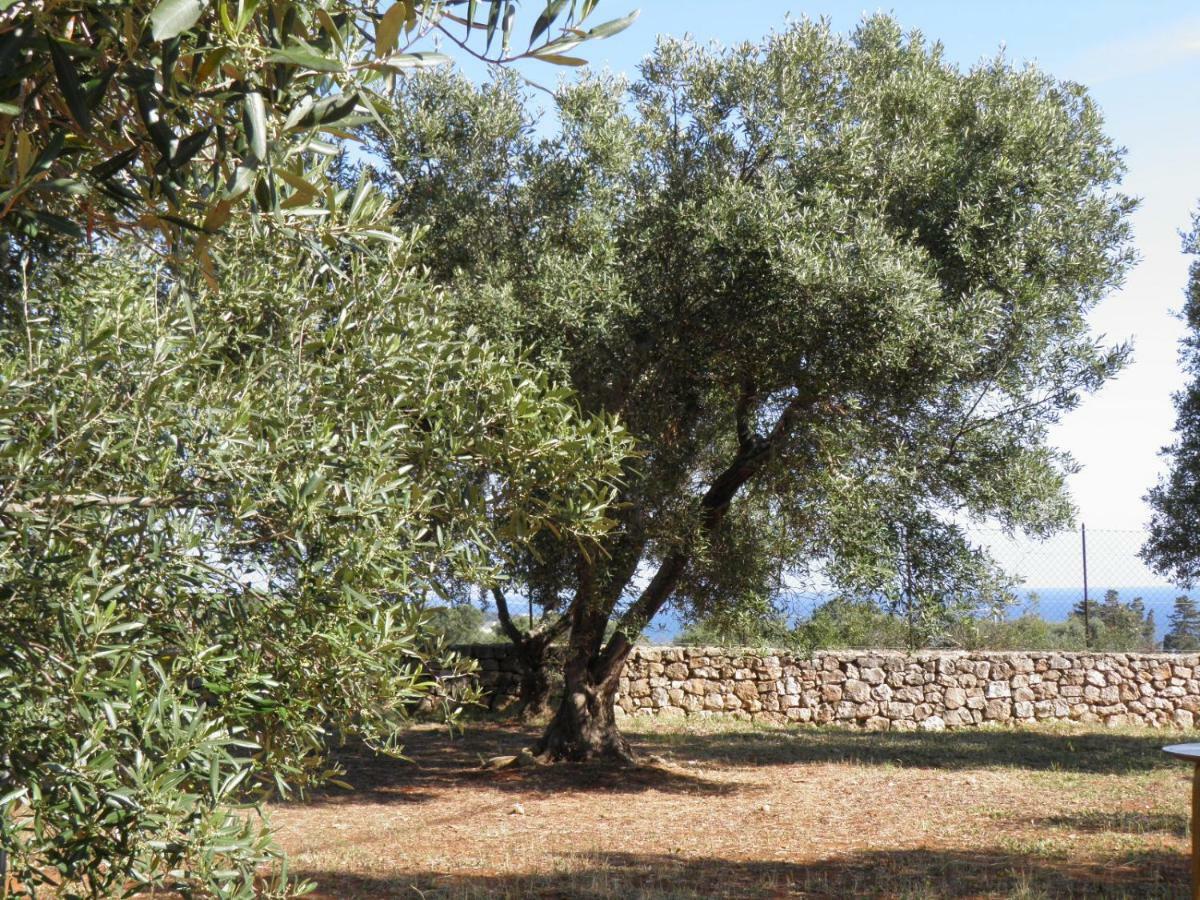 Villa Minteco Patù Εξωτερικό φωτογραφία